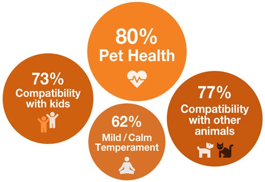 An Animal Shelter Has A Ratio Of Dogs To Cats